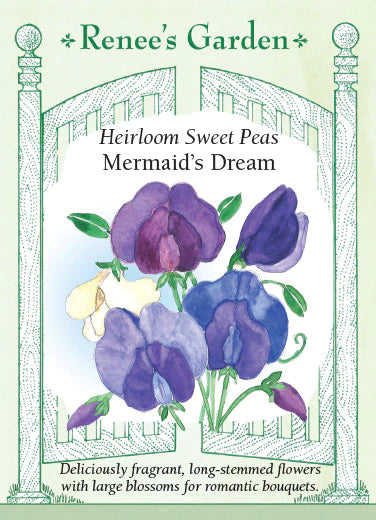 Sweet Pea Mermaid's Dream
