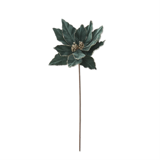 20" Dusty Green Poinsettia Stem