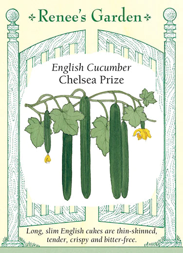 Chelsea Prize Cucumber