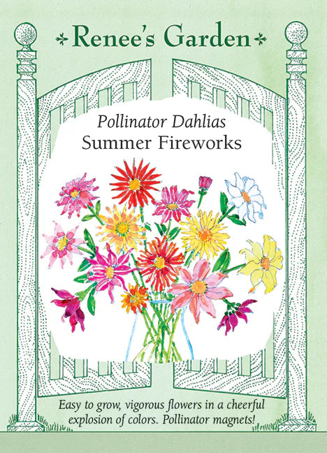 Dahlia Summer Fireworks Seeds
