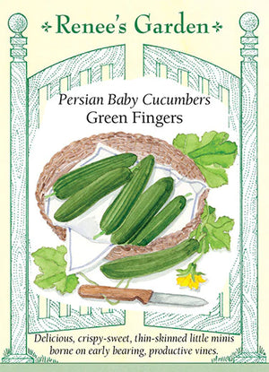 
            
                Load image into Gallery viewer, Baby Persian Cucumber
            
        