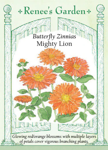 Butterfly Zinnias Mighty Lion