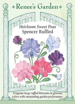 Heirloom Sweet Peas Spencer Ruffled Seeds