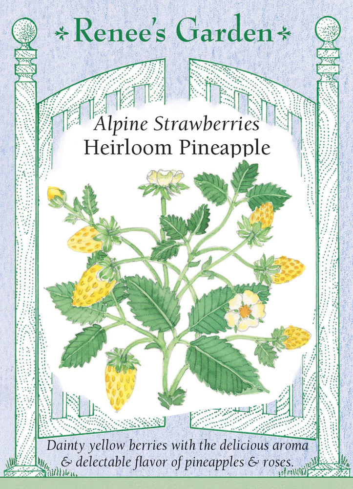 
            
                Load image into Gallery viewer, Strawberry Alpine Pineapple
            
        