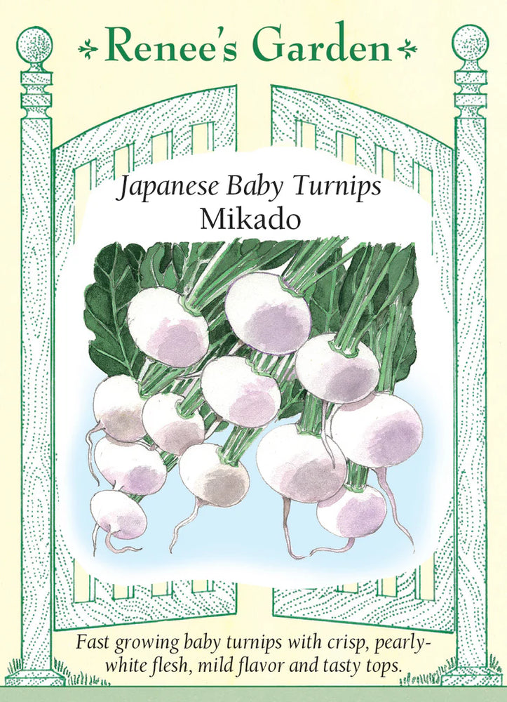 Mikado Japanese Baby Turnip Seeds