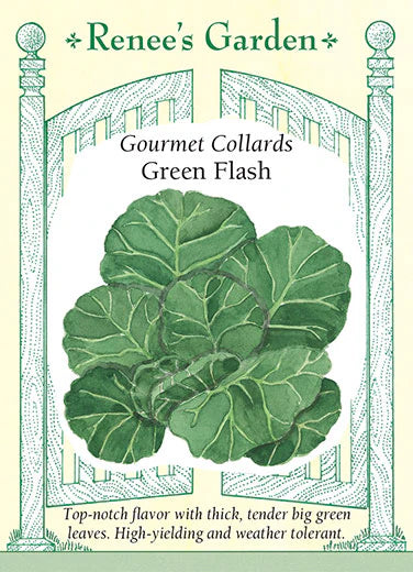 Collards Green Flash Seeds