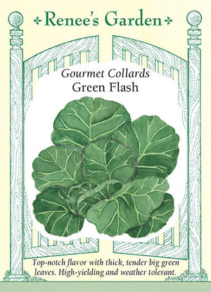 Collards Green Flash Seeds