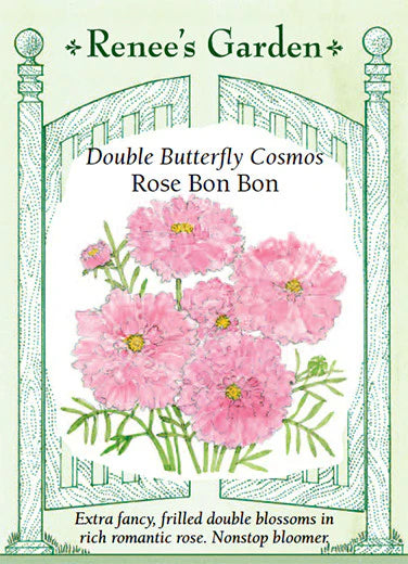 Cosmos Rose Bon Bon Seeds