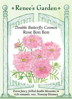 Cosmos Rose Bon Bon Seeds