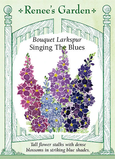 
            
                Load image into Gallery viewer, Singing the Blues Larkspur
            
        