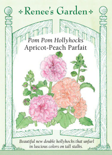 Hollyhock Apricot-Peach Parfait Seeds