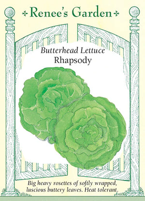 Rhapsody Lettuce Seeds