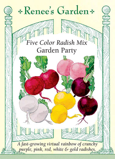 
            
                Load image into Gallery viewer, Five Color Garden Party Mix Radish
            
        