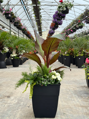 14" Square Hendrix Patio Pot: Partial Sun/Shade (Multi-Colours)