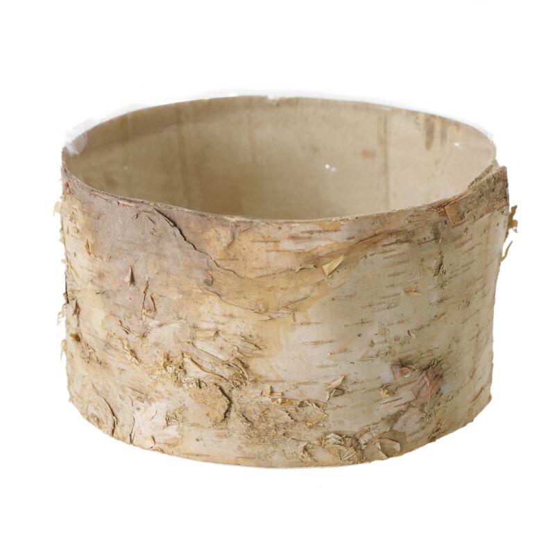 6" x 5.5" Birch Cylinder Pot