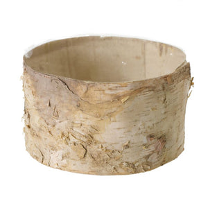 6" x 5.5" Birch Cylinder Pot