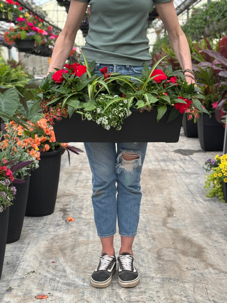 24" Begonia/Impatien Window Box - Partial Sun/Shade (Multiple Colours)