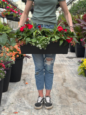 24" Begonia/Impatien Window Box - Partial Sun/Shade (Multiple Colours)