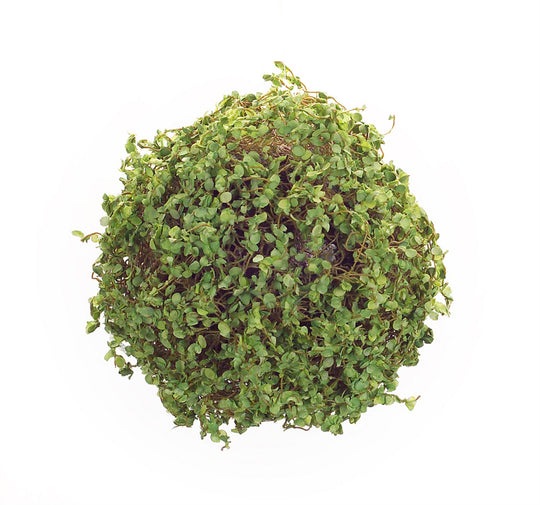 Moss Orb 7"D Foam/Polyester - Green