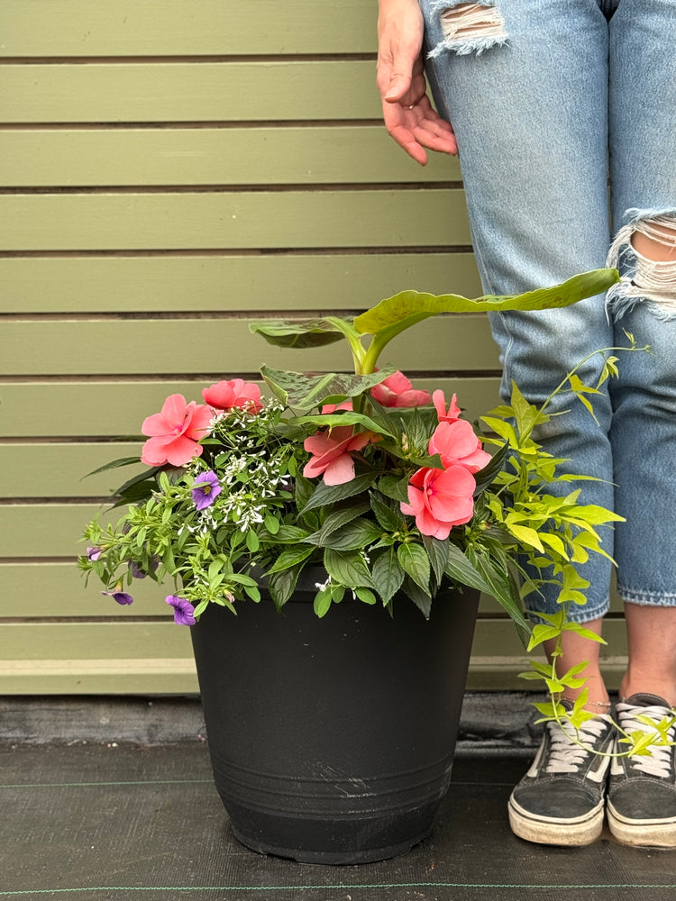 14” Round New Guinea Patio Pot Mix - Sun/Shade (Multiple Colours)