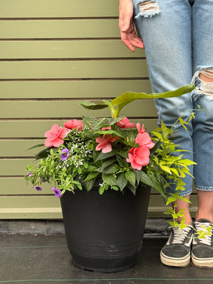 14” Round New Guinea Patio Pot Mix - Sun/Shade (Multiple Colours)