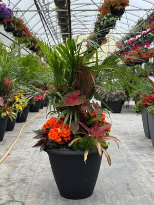 18" Round Neo Mix - Shade (Multiple Colours)