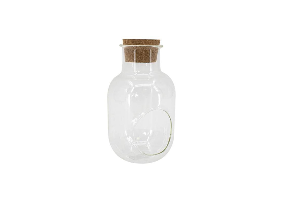 4X8" Bottle Shape Terrarium