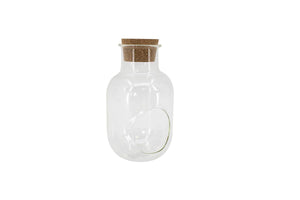 4X8" Bottle Shape Terrarium