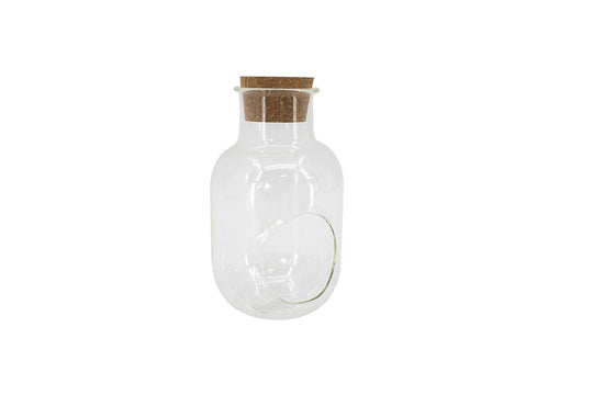 4X8" Bottle Shape Terrarium