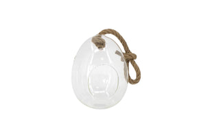 5X7" Hanging Egg Terrarium