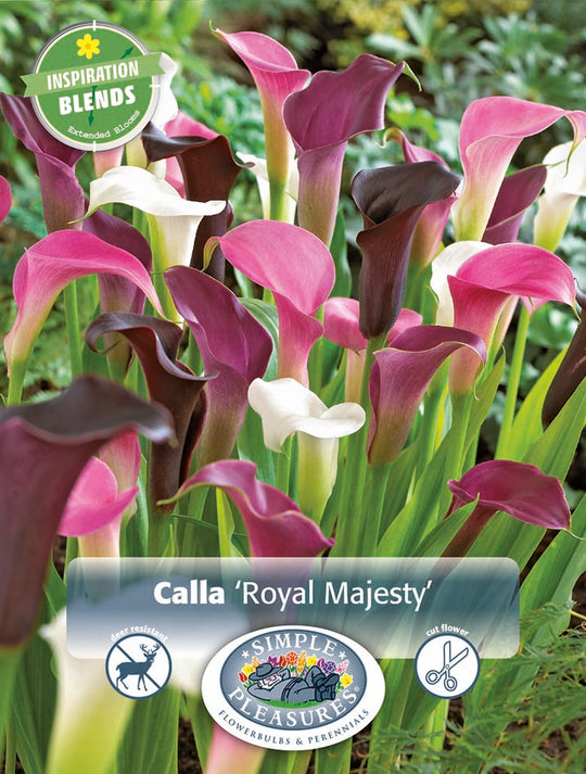 Calla Royal Majesty Blend Bulbs