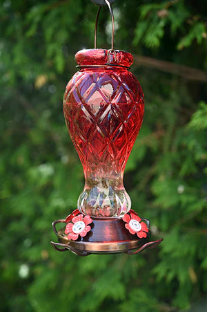 Red Jewel Glass Hummingbird Feeder