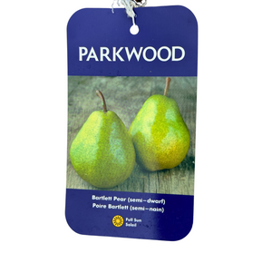 Bartlett Pear (Semi-Dwarf)