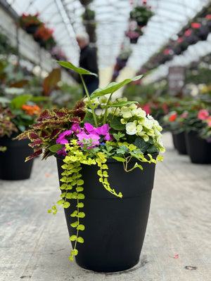 10" Tuscany Square Begonia/Impatien Patio Pot: Partial Sun/Shade (Multi-Colours)