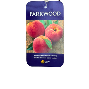 Reliance Peach Semi-Dwarf #7