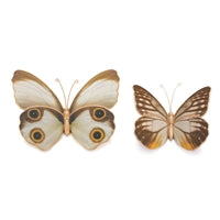 Resin Butterfly ( 2 sizes )