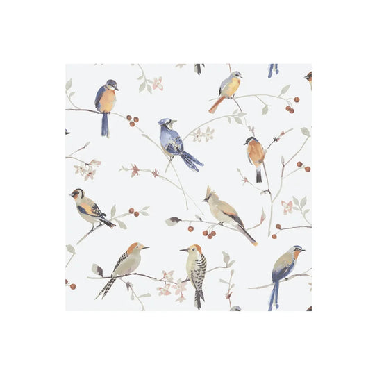 Birds Printed Lunch Napkin 20Pk