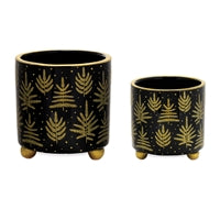 Dolomite Container Black with Gold Trees ( Multiple Sizes )