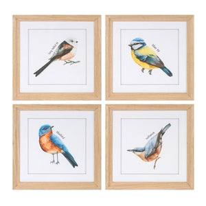 Framed Bird Print (4 Asst) 9.75"SQ