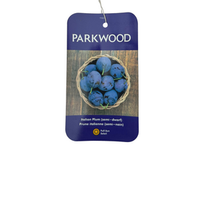 Italian Prune European Plum Semi-Dwarf #7