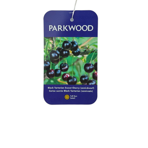 Black Tartarian Sweet Cherry (Semi-Dwarf)