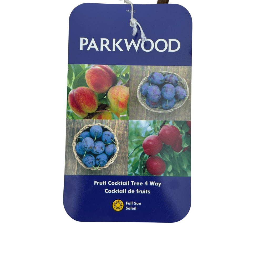 Fruit Cocktail Tree 4 Way