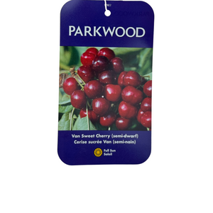 Van Sweet Cherry (Semi-Dwarf)