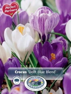 Crocus Delft Blue Blend Bulbs