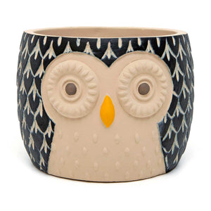 6" Hootie Owl Pot Large