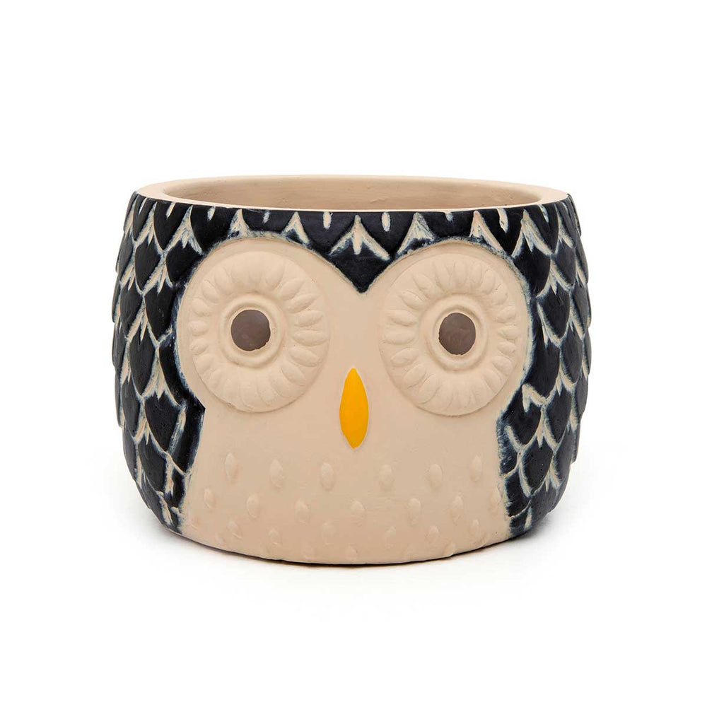 
            
                Load image into Gallery viewer, 5.5&amp;quot; Hootie Owl Pot Small
            
        