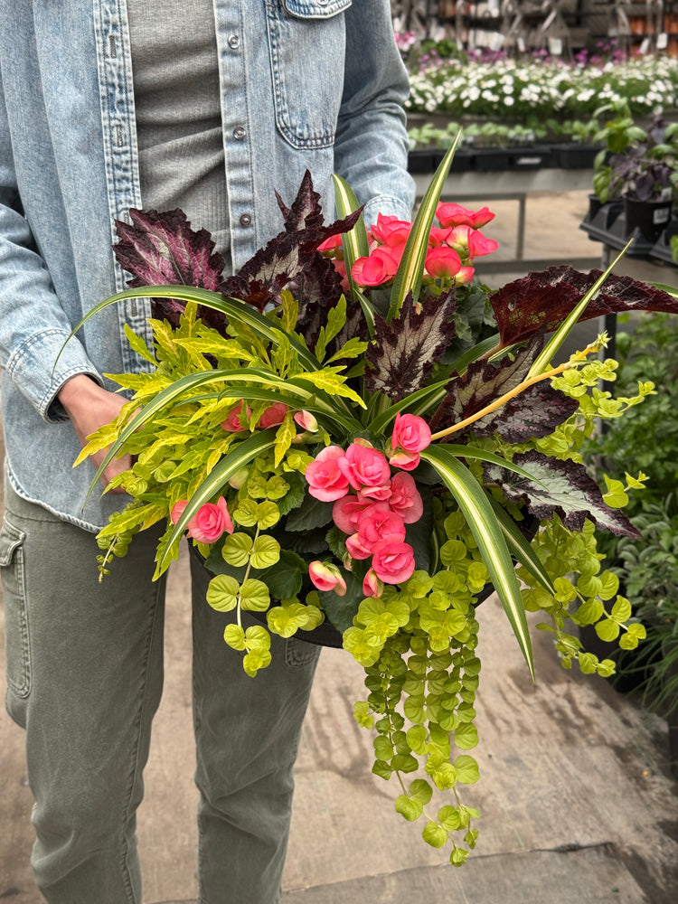14" Sandthatch Bowl - Partial Sun/Shade (Multiple Colours)