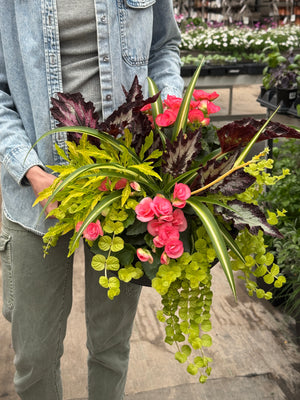 14" Sandthatch Bowl - Partial Sun/Shade (Multiple Colours)