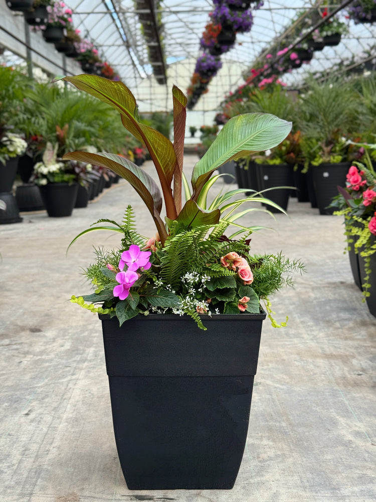 14" Square Hendrix Patio Pot: Partial Sun/Shade (Multi-Colours)