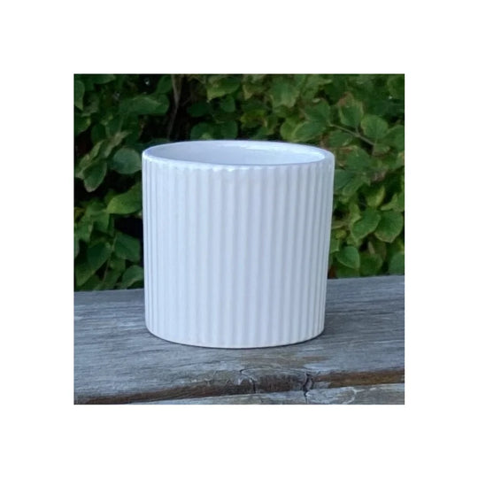 2.9" Shiny White Dolomite Pot
